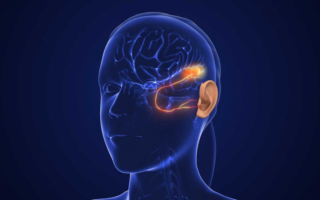 A digital illustration of a human head in profile, showing the brain and highlighted trigeminal nerve pathways in orange, with the ear and facial features visible against a dark blue background.